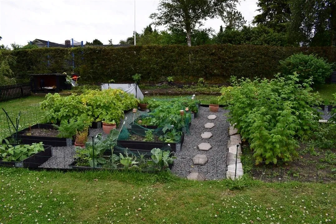 Assens and the North of Denmark 2017